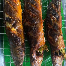 ปลาดุกย่าง