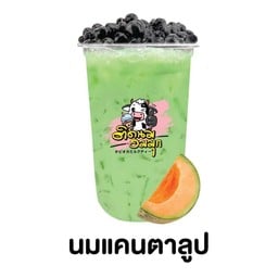 นมแคนตาลูป