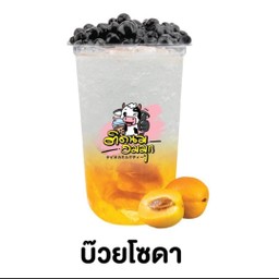 บ๊วยโซดา