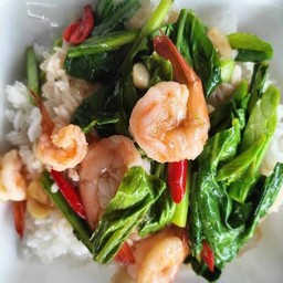 ข้าวคะน้ากุ้ง