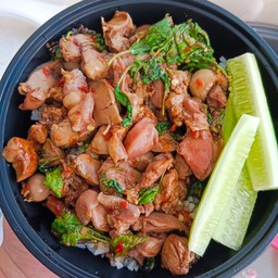 ผัดกระเพราเครื่องในไก่ ราดข้าว