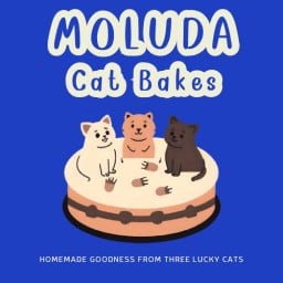 MOLUDA Cat Bakes คลองหลวง