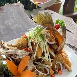 ปลากะพงหลงทาง