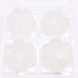 วุ้นมะพร้าวน้ำหอมเข้มข้น หอมหวาน