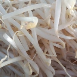 ถั่วงอกลวก