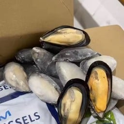 หอยชิลีนอกฝาเดียว