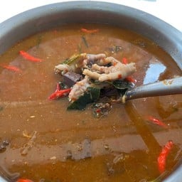 เกาเหลา  น้ำยาป่า