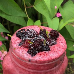 Mulberry Smoothie