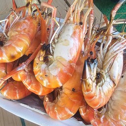 กุ้งเผา 1 กิโล 13-15 ตัวโล
