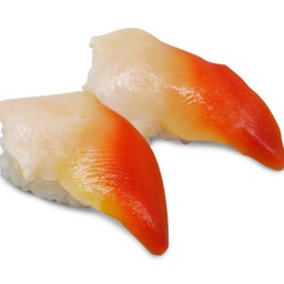 หอยปีกนก