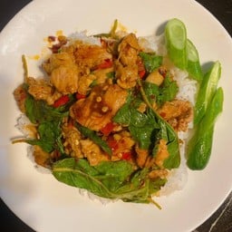 กะเพราสันคอ