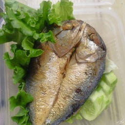 ร้านศิษย์ครูอ๊อดบ้านสวน