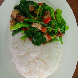 ข้าวราดคะน้าหมูกรอบ