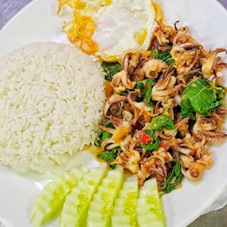 กระเพราหนวดปลาหมึกพร้อมไข่ดาวและข้าวสวย