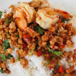 กระเพรากุ้งหมูสับ (ราดข้าว)