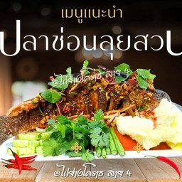 ปลาช่อนทอดลุยสวน