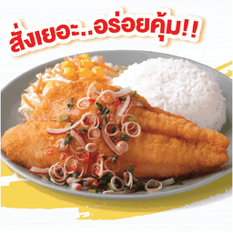 ชุด Signature Dish ประเภทปลา 20 กล่อง