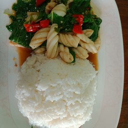 ข้าวราดกระเพาปลาหมึก