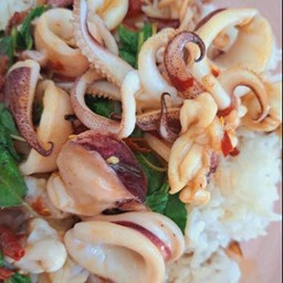 ข้าวกะเพราปลาหมึก