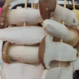 เห็ดออรินจิ(หม่าล่า)