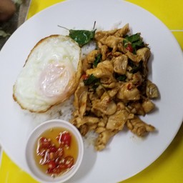 กะเพราหมูชิ้น/หมูสับ/ไก่