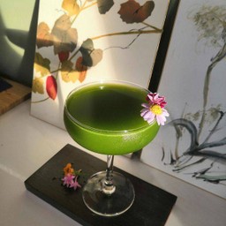 rose matcha