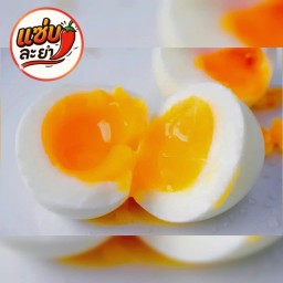 ไข่ยางมะตูม