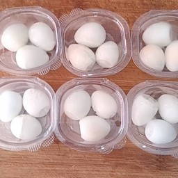 ไข่นกกระทา