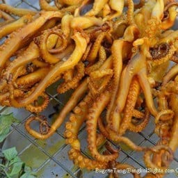 หนวดหมึก หม่าล่า