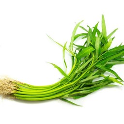 ผักบุ้ง