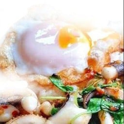 ข้าวกะเพราปลาหมึก+ไข่ดาว