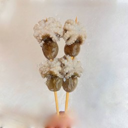 หมึกสาย