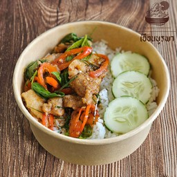 ข้าวหมูผัดพริกแกงป่าใบโหระพา