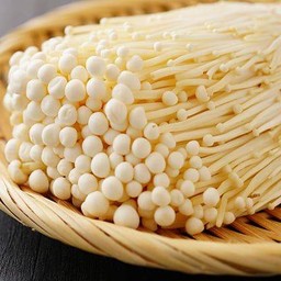 เห็ดเข็มทอง