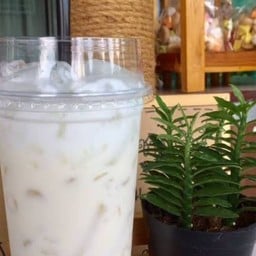 นมสดเย็นวหวานปกติ