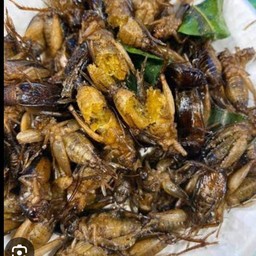 จิ้งโกร่งไข่ทอดกรอบ