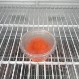 MENU_568152cF_1699697750