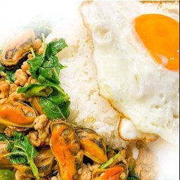 ข้าวกะเพราหอยแมลงภู่+ไข่ดาว