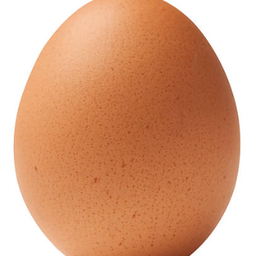 ไข่ไก่