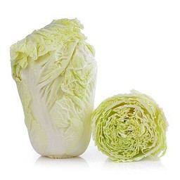 ผักกาดขาว