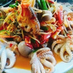 ตำหมึกสาย