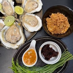 หอยนางรมสุราษฎร์ ไซซ์ M เซ็ต 4 ตัว