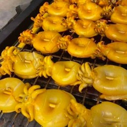 หมึกกระดอง