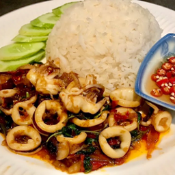 ข้าวราดผัดกะเพราปลาหมึก