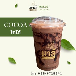 โกโก้ (Cocoa)