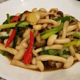 ข้าวราดผัดเห็ดรวม