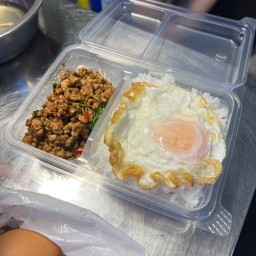 ต้นอ่อน กะเพราถาด ตลาดอินดี้ดาวคะนอง