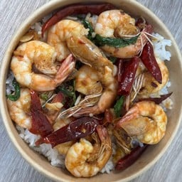 กะเพรา  For You