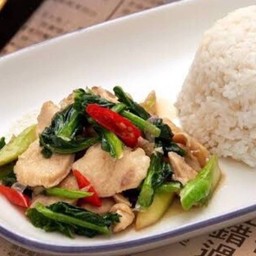 ข้าวราดคะน้าน้ำมันหอย