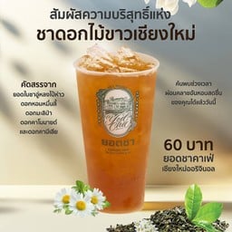 ยอดชา (Yodcha) ยอดชา เชียงใหม่ บางนา (Yodcha Bangna)